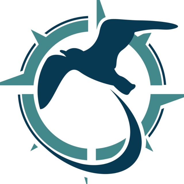 302 Southerly emblem